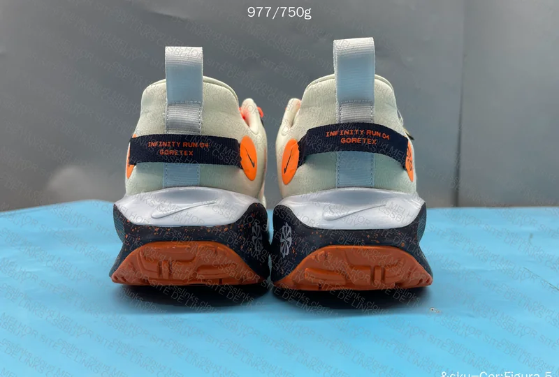 Nike infinity Run 4 GORE TEX 10
