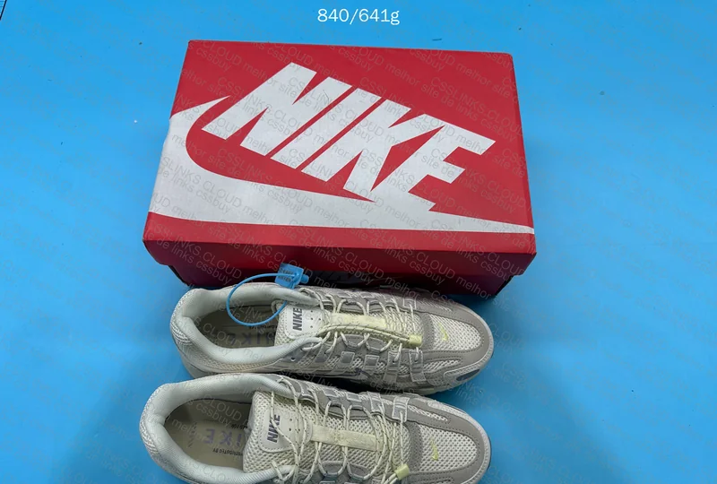 Nike P-6000 4
