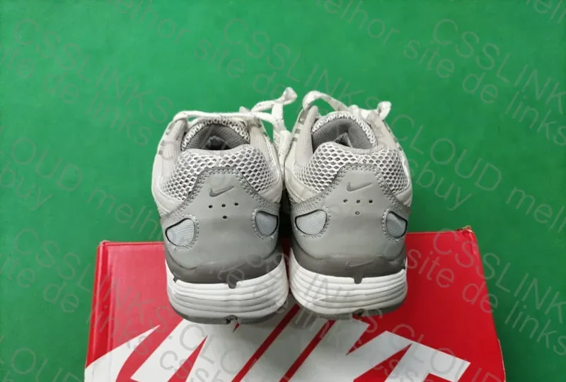 Nike P-6000