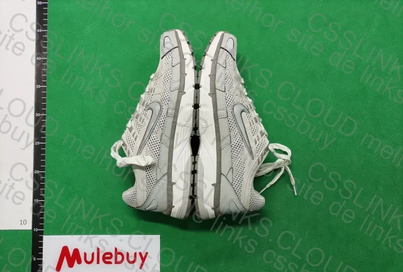 Nike P-6000 2