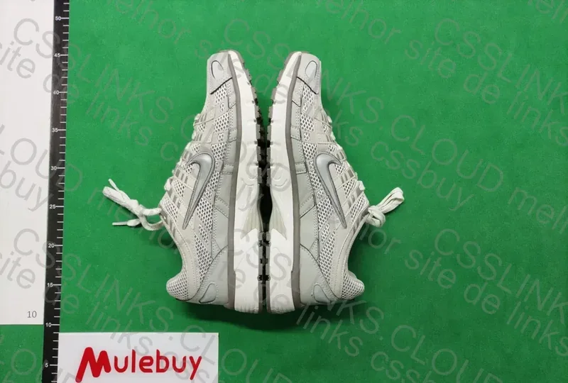 Nike P-6000 3