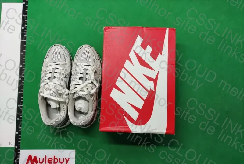 Nike P-6000 5