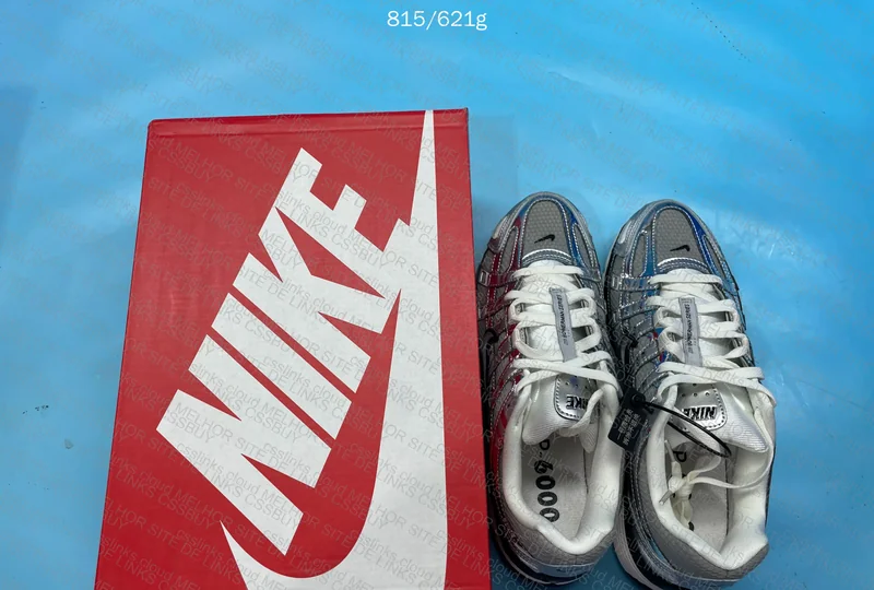 Nike P-6000 2