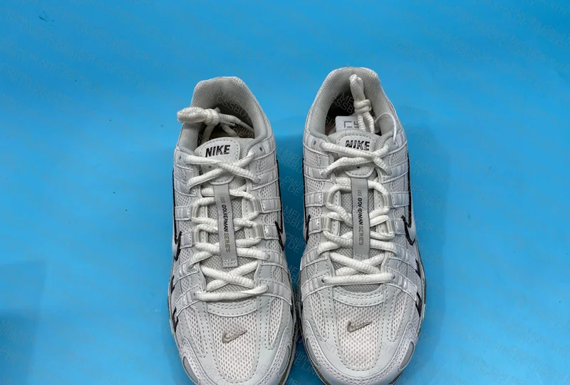 Nike p-6000