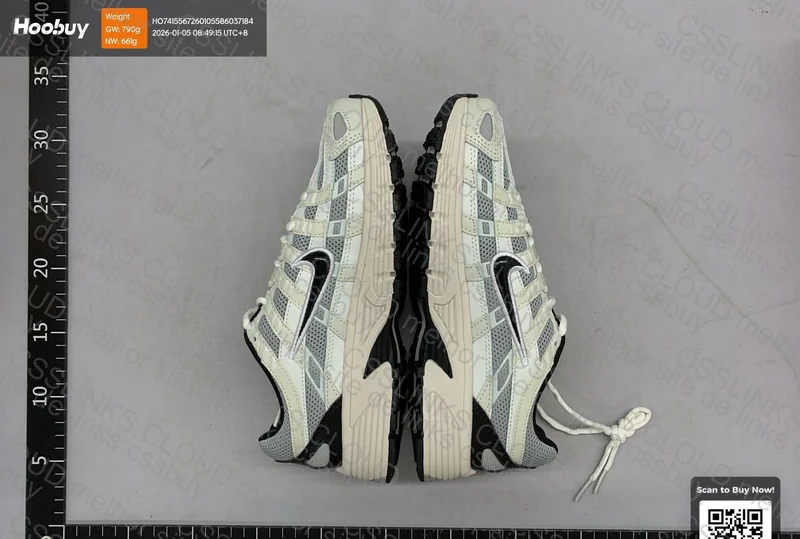 Nike P-6000