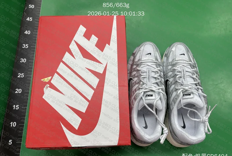 Nike P-6000