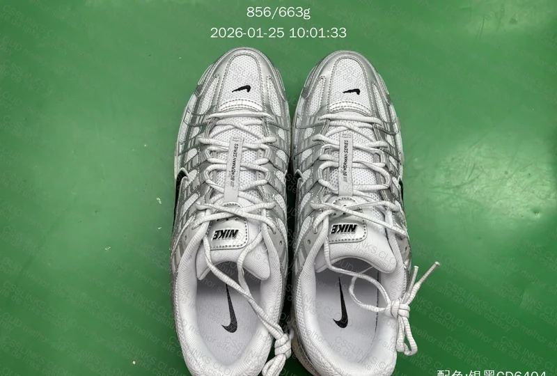 Nike P-6000 2