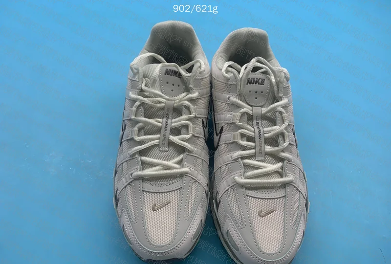 Nike P-6000 Earth Light Bone 3