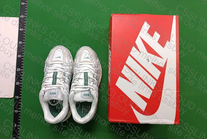 Nike P-6000 Light Bone
