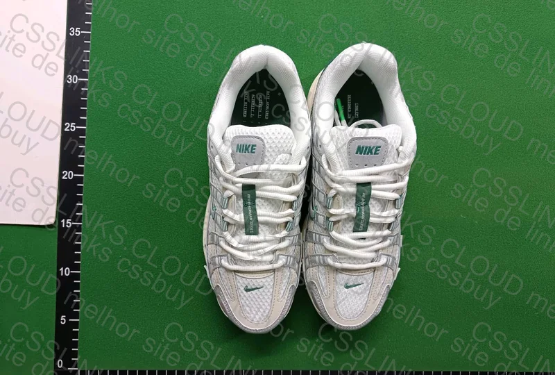 Nike P-6000 Light Bone 4