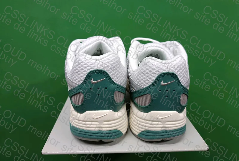 Nike P-6000 Light Bone 5