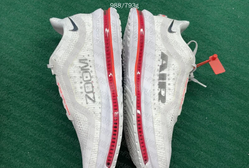 NIKE PEGADUS PREMIUM 3