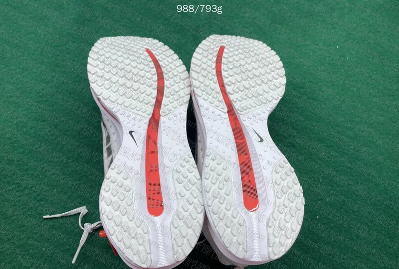 NIKE PEGADUS PREMIUM 5