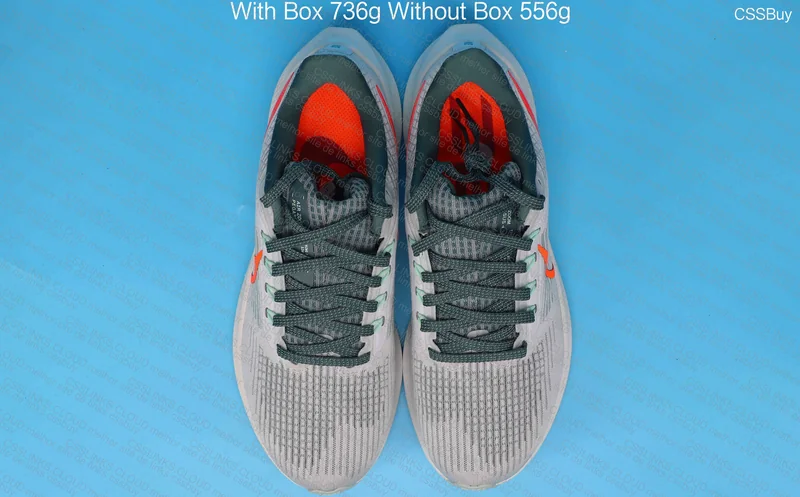 Nike Pegasus 39