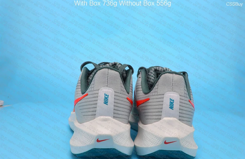 Nike Pegasus 39 6
