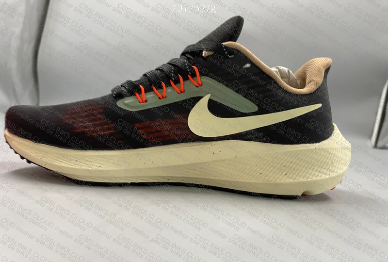 Nike Pegasus 39