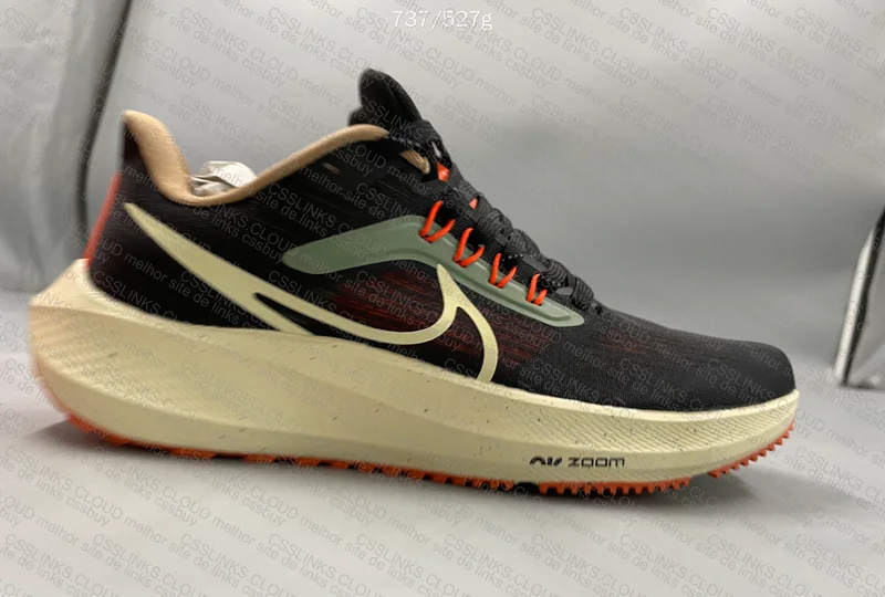 Nike Pegasus 39 2