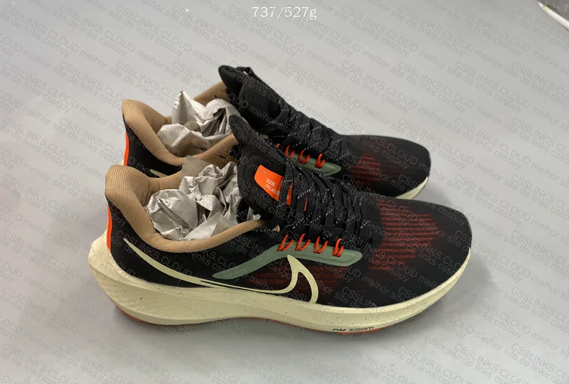 Nike Pegasus 39 4