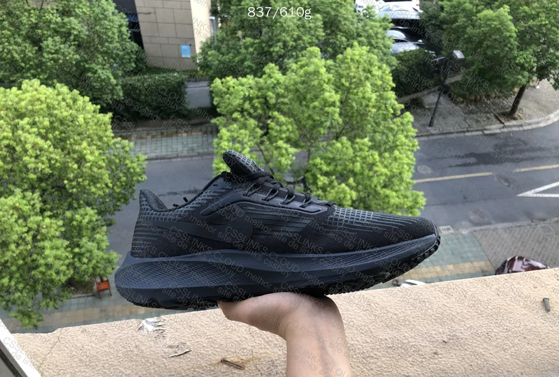 Nike Pegasus 39 5