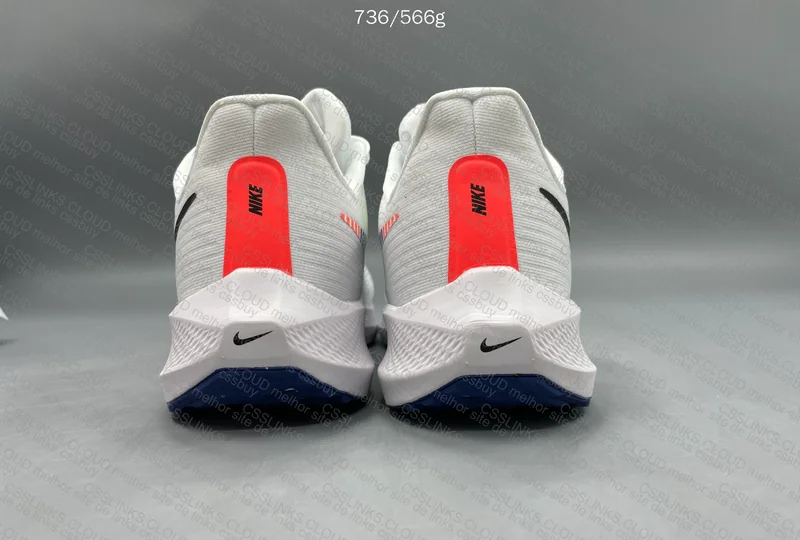 Nike Pegasus 39 2