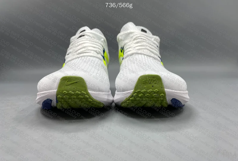 Nike Pegasus 39 4