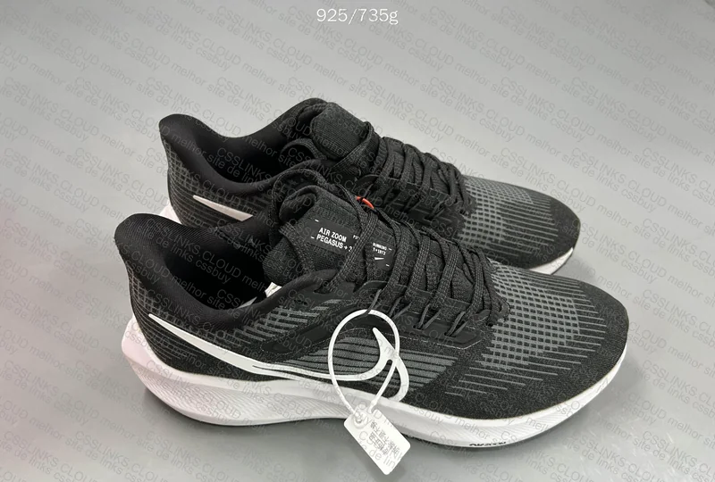 Nike Pegasus 39