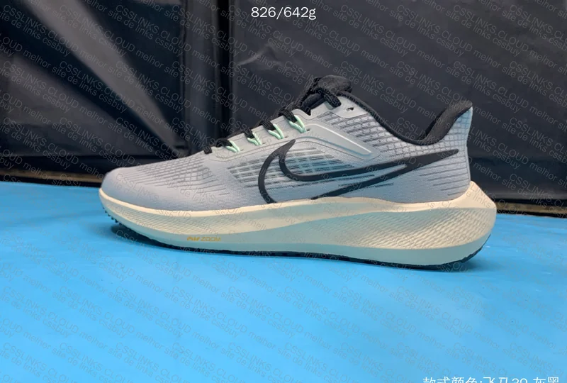 Nike Pegasus 39 2