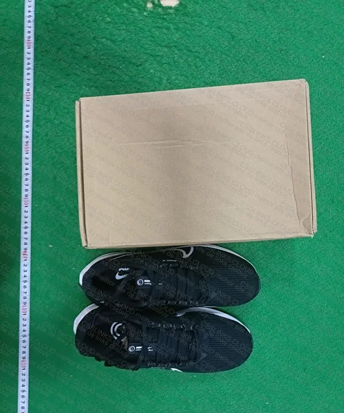 Nike Pegasus 40 2