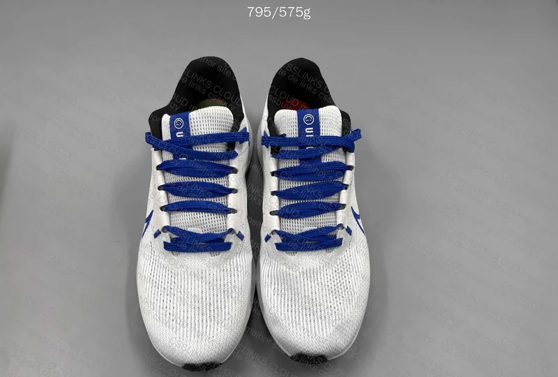 nike Pegasus 40