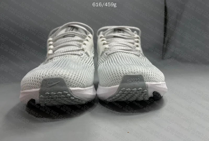 Nike Pegasus 40