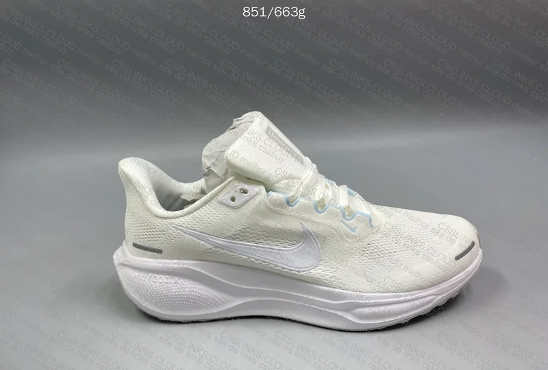 Nike Pegasus 41 2