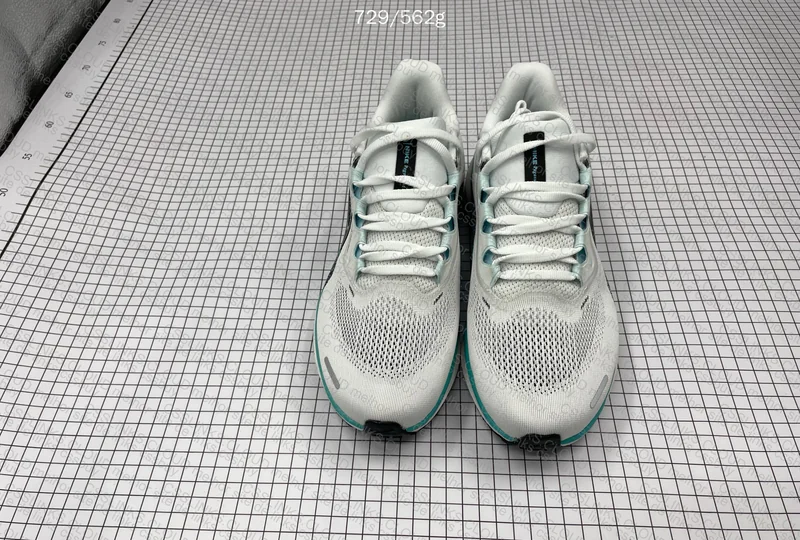 Nike Pegasus 41🪽