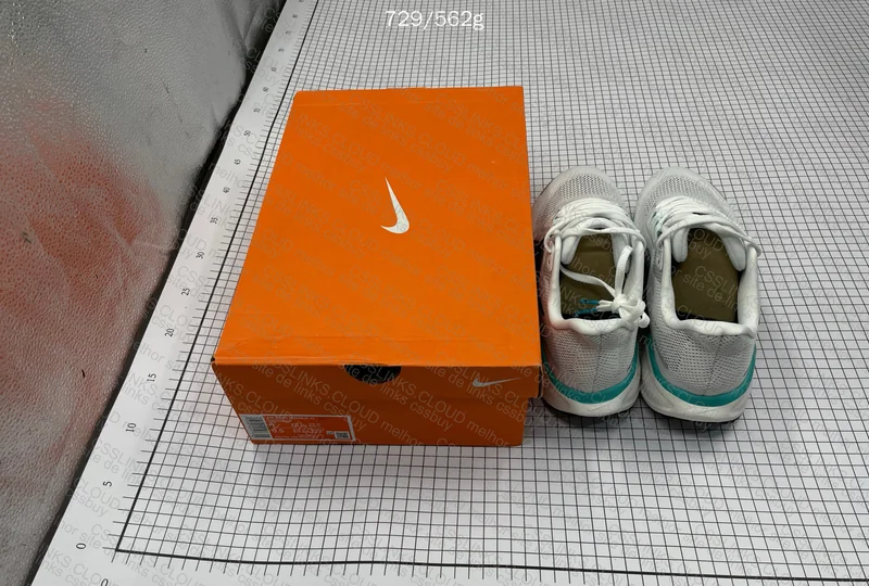 Nike Pegasus 41🪽 10
