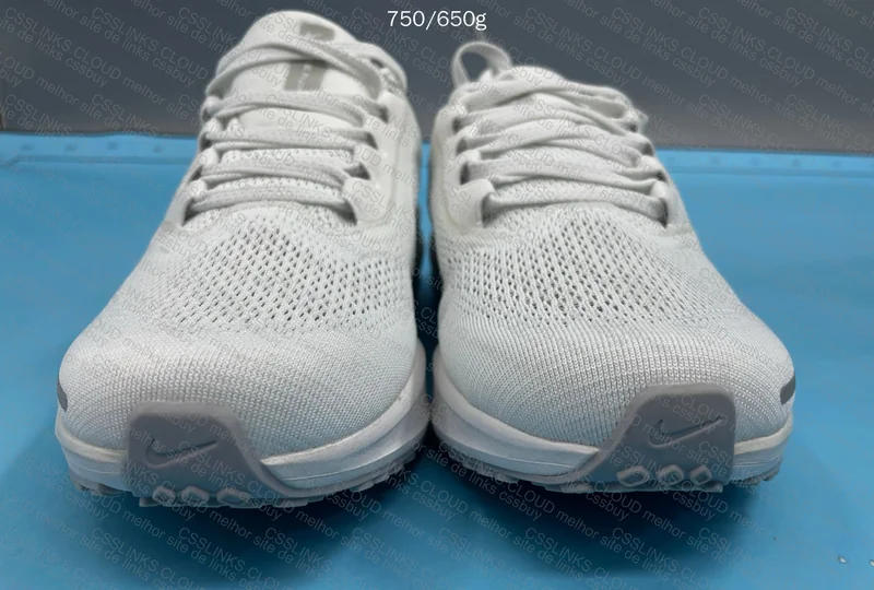 Nike Pegasus 41
