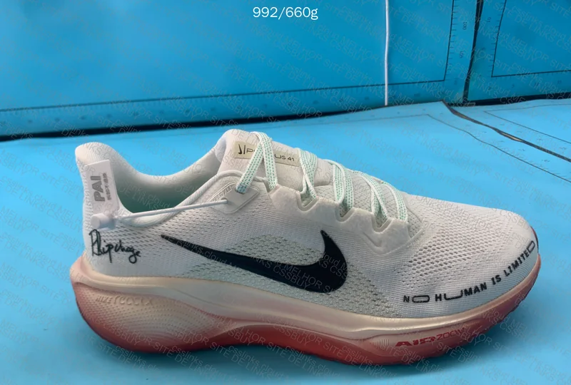 Nike Pegasus 41