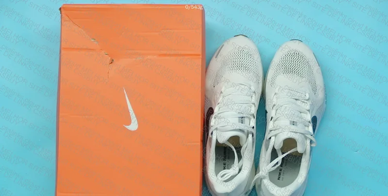 Nike Pegasus Air zoom 41 2