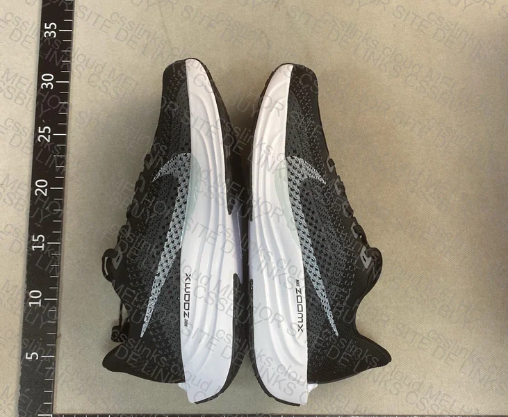 Nike pegasus plus 2
