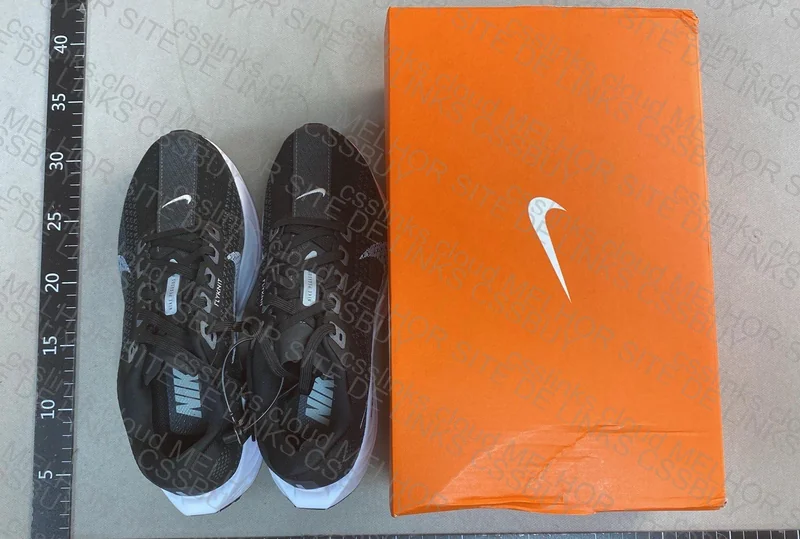 Nike pegasus plus 4