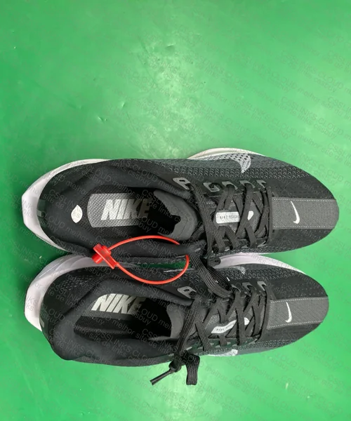 Nike Pegasus Plus Corrida