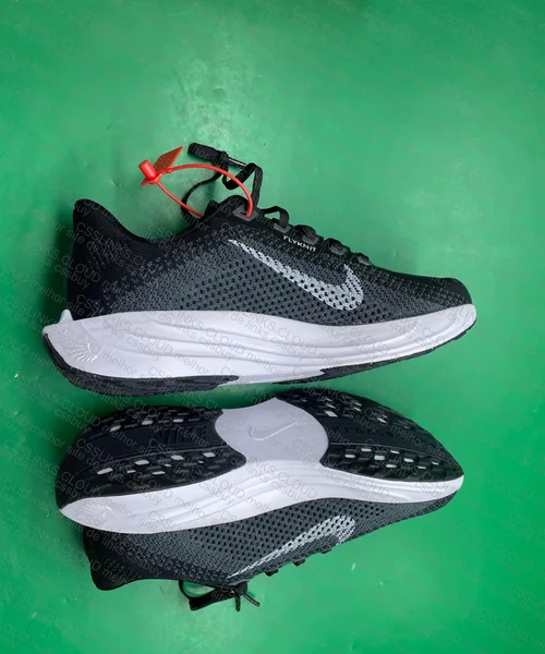 Nike Pegasus Plus Corrida 2