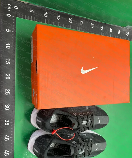 Nike Pegasus Plus Corrida 3