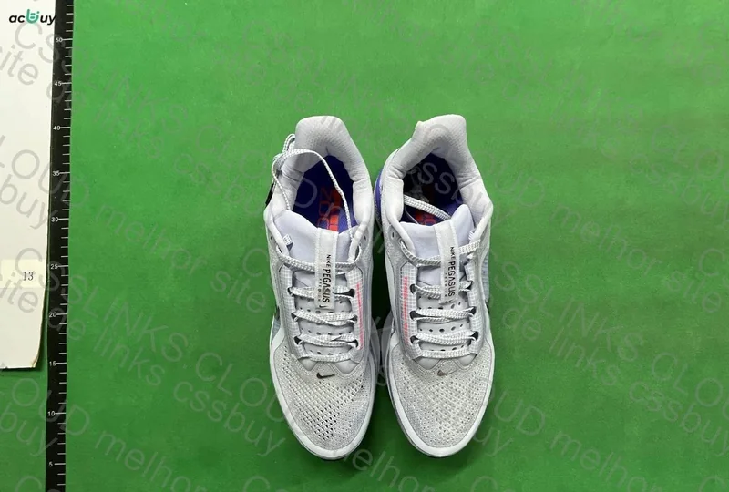 Nike Pegasus Premium