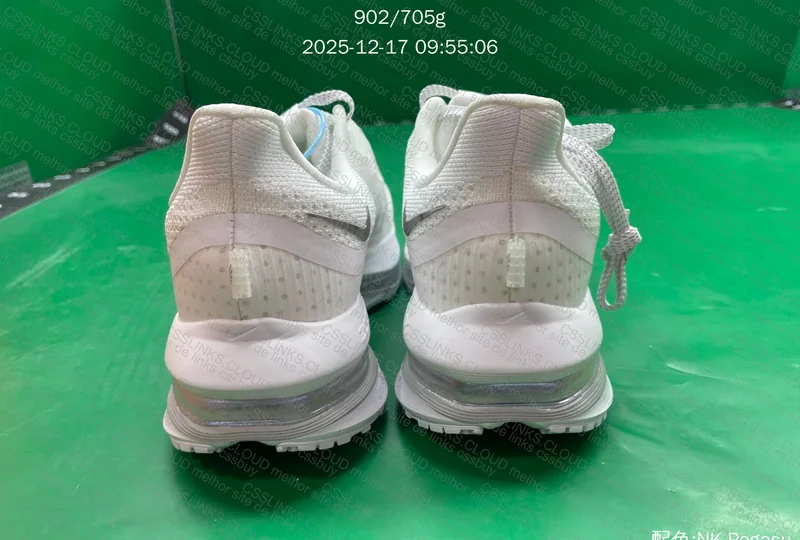 Nike Pegasus Premium 2