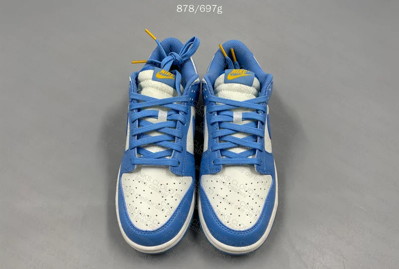Nike SB Dunk Low Coast 4