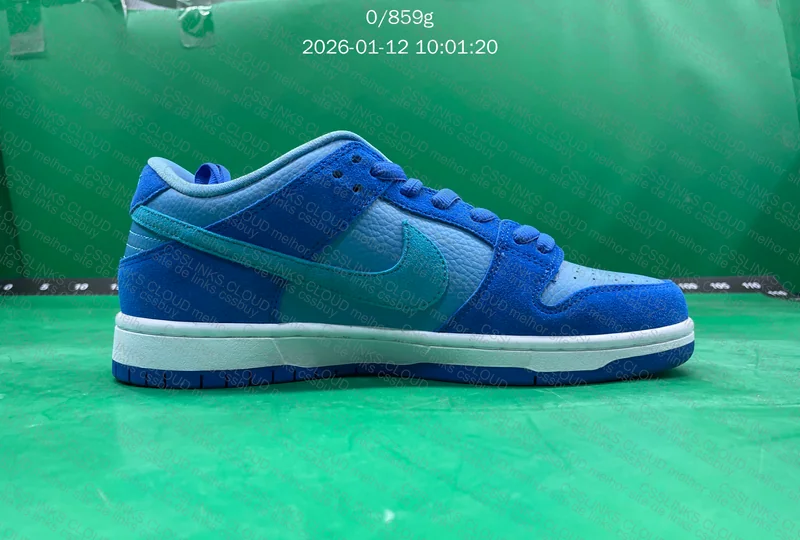 Nike SB Dunk Low Pro Blue Raspberry 10