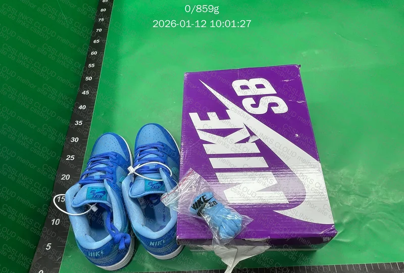 Nike SB Dunk Low Pro Blue Raspberry 5