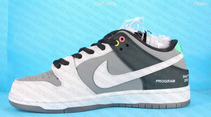 Nike SB Dunk Low VX 1000 Camcorder 11