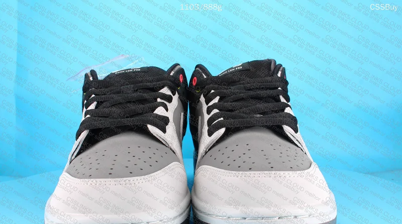 Nike SB Dunk Low VX 1000 Camcorder 3