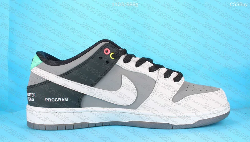 Nike SB Dunk Low VX 1000 Camcorder 5