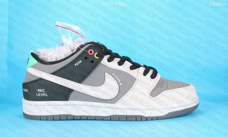 Nike SB Dunk Low VX 1000 Camcorder 9